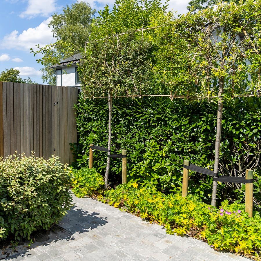 Tuinafscheiding1 • Gras en Groen website