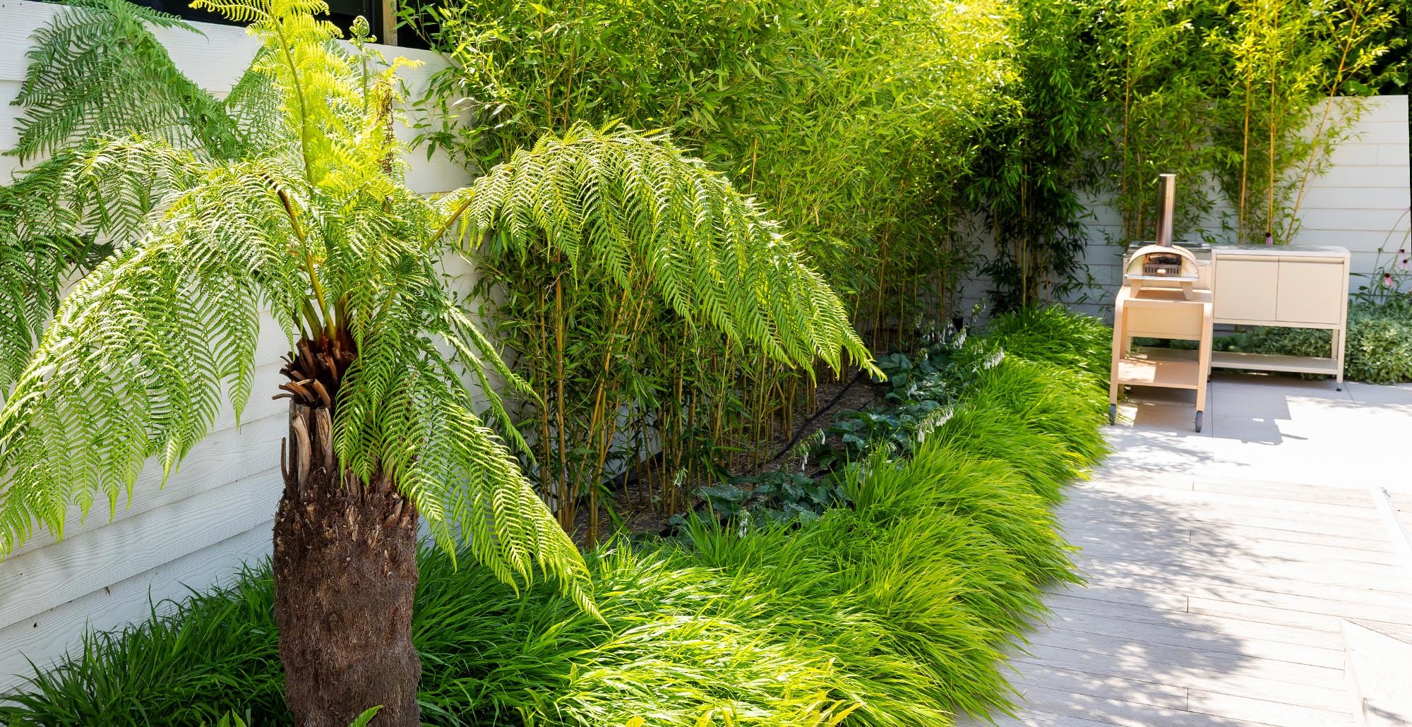 Tuinprojectvlijmen38 • Gras en Groen website