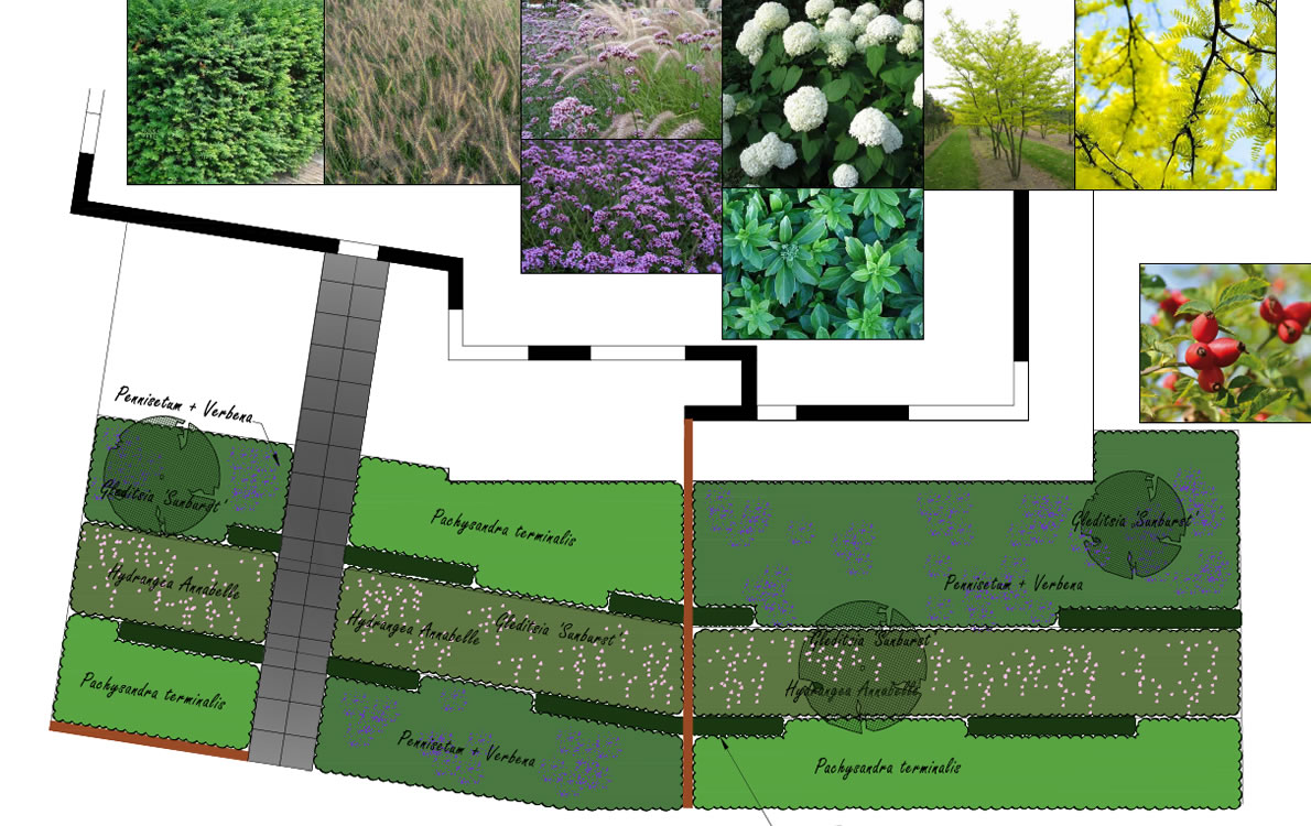 Beplantingsplan4 • Gras en Groen website