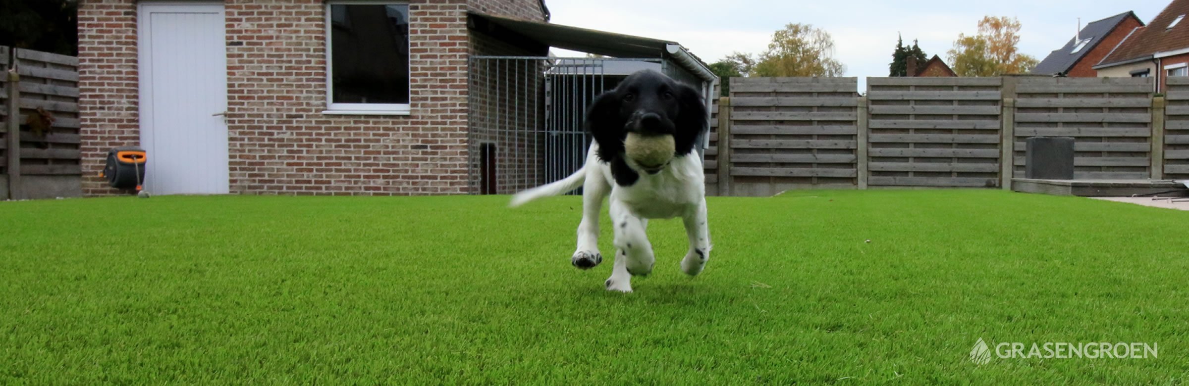 Kunstgras honden en huisdieren - Advies Gras Groen