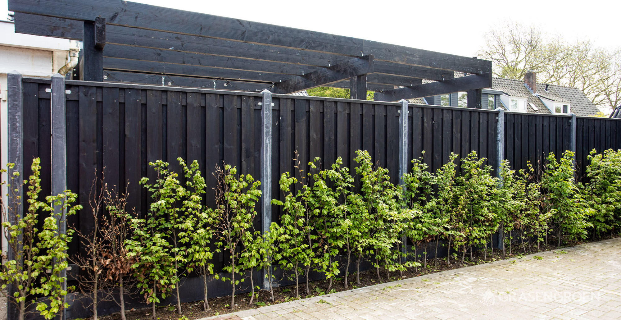 Door Kast Dapperheid Project zwarte schutting Spijkenisse - Gras en Groen