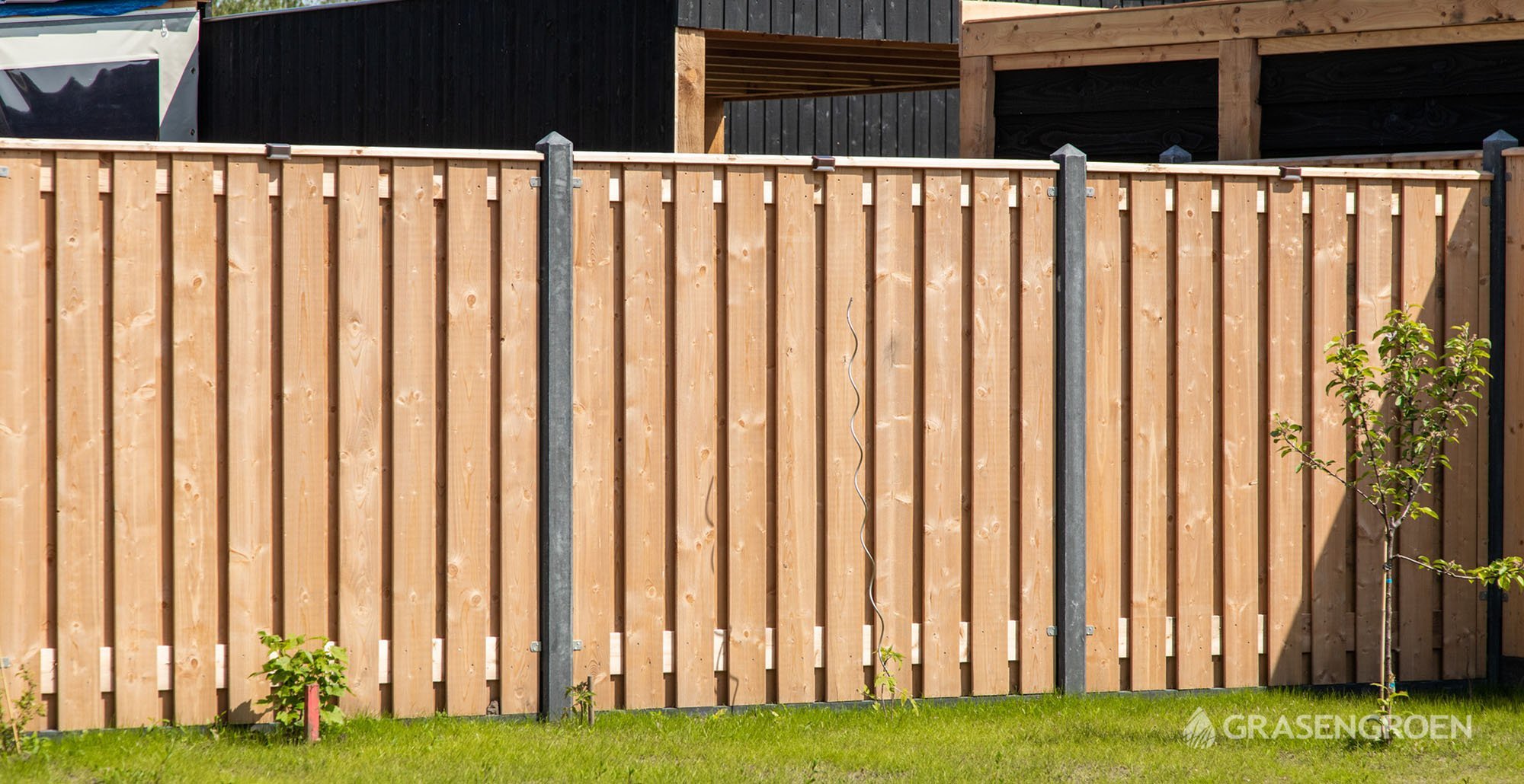 Schuttingwilnis16 • Gras en Groen website