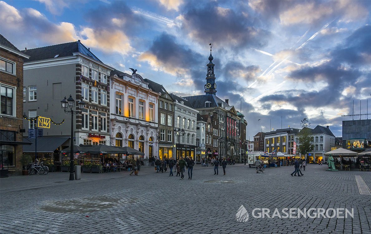 Schuttingshertogenbosch1 • Gras en Groen website