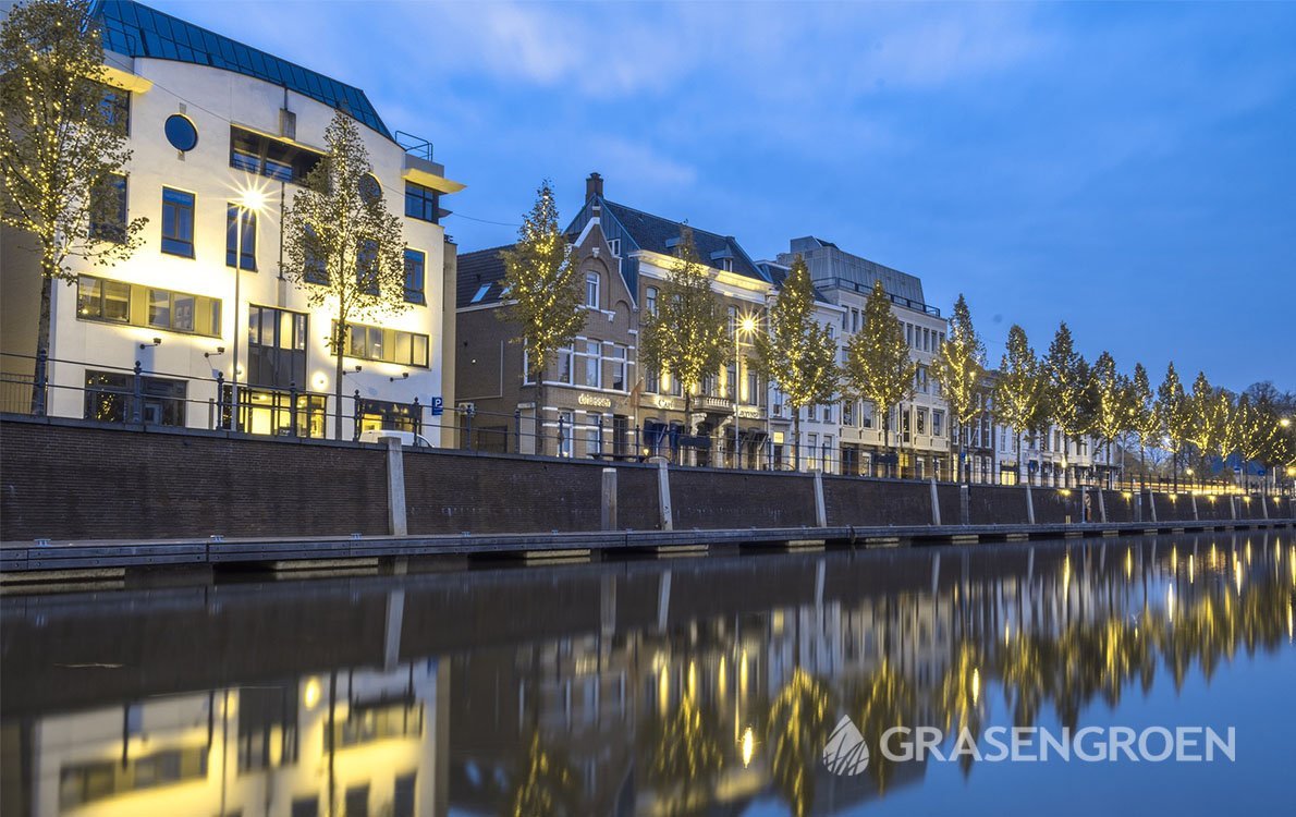 Kunstgrasbreda1 • Gras en Groen website
