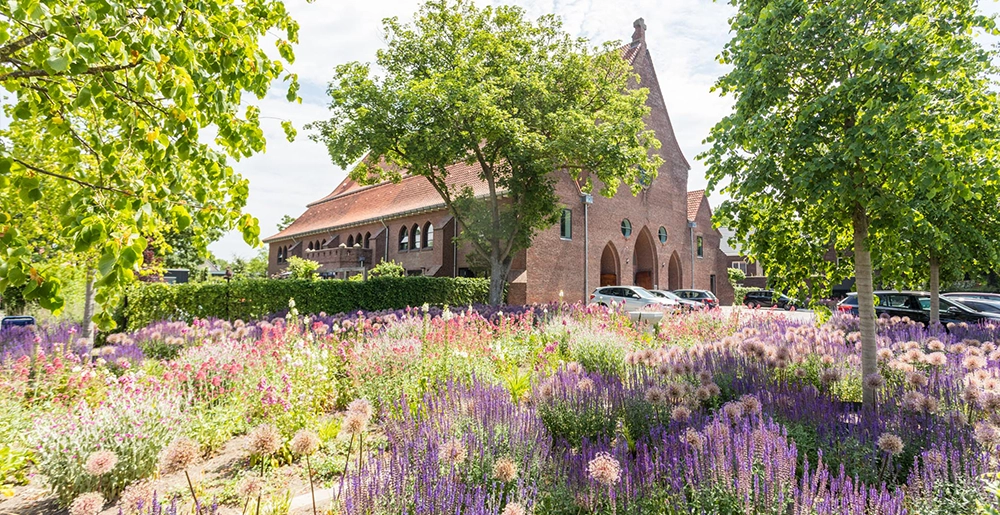 Dienstbeplanting • Gras en Groen website