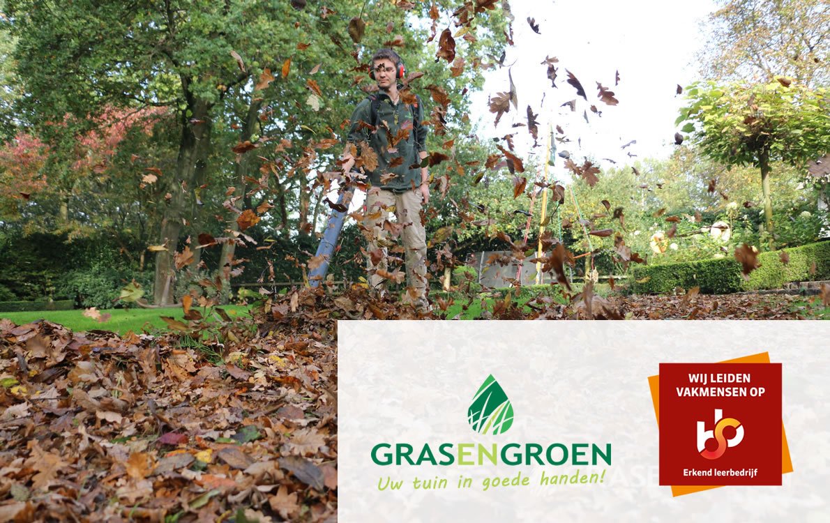 Stage1 • Gras en Groen website