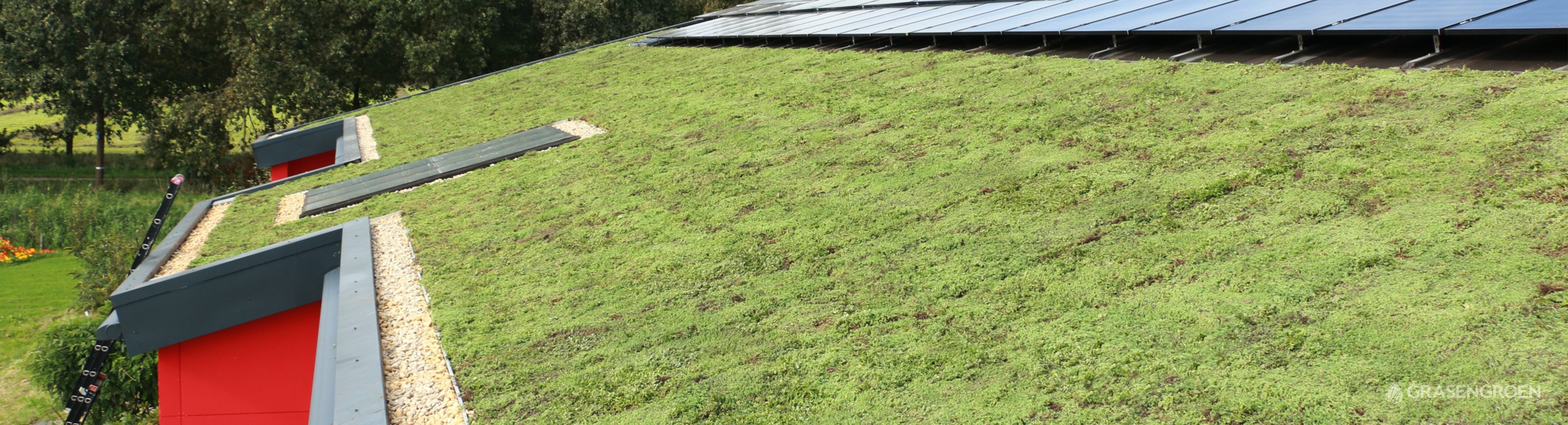 Groendakprojectalmere1 • Gras en Groen website