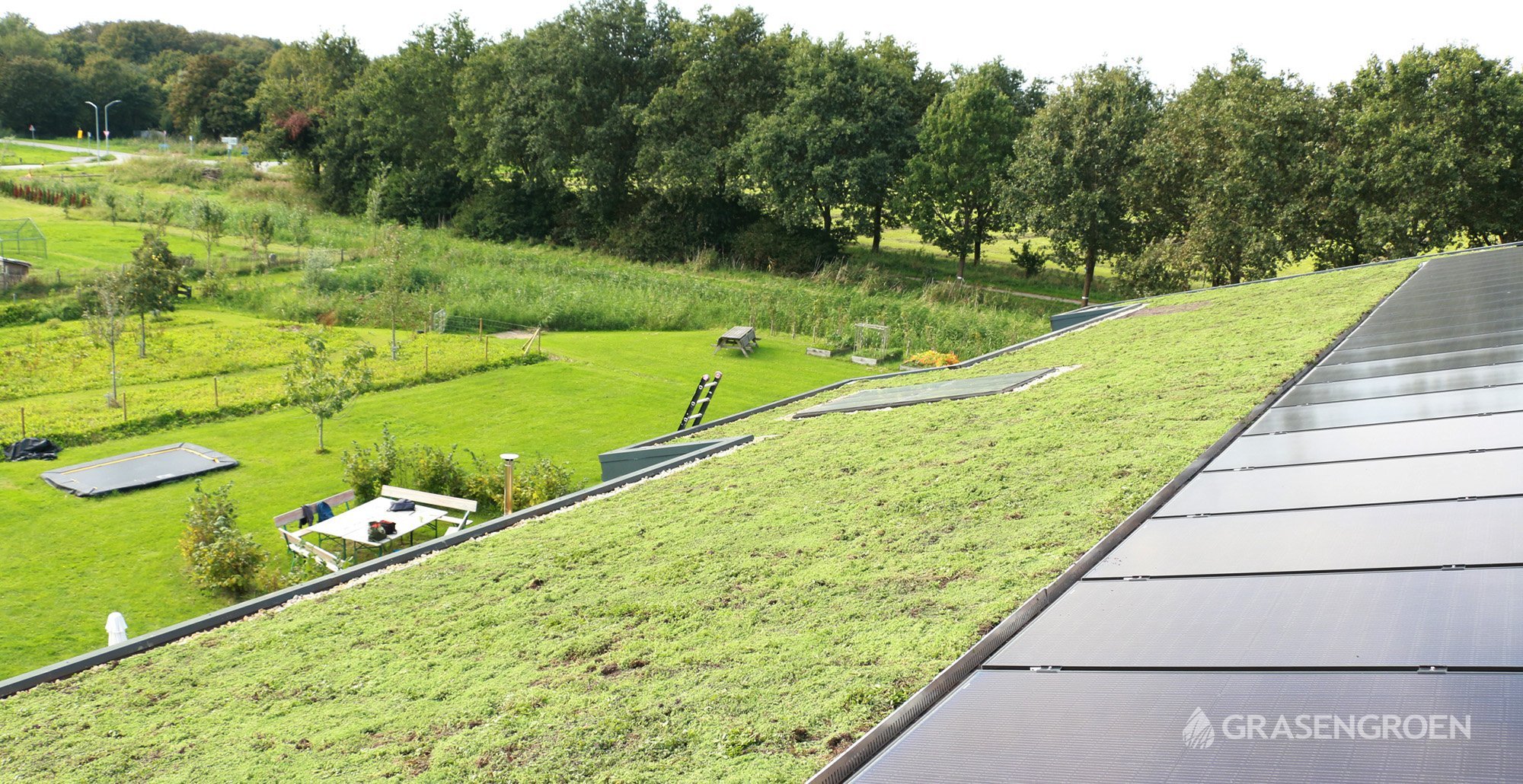 Groendakprojectalmere11 • Gras en Groen website
