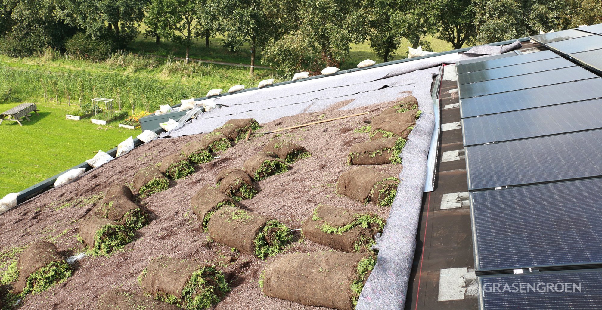 Groendakprojectalmere15 • Gras en Groen website