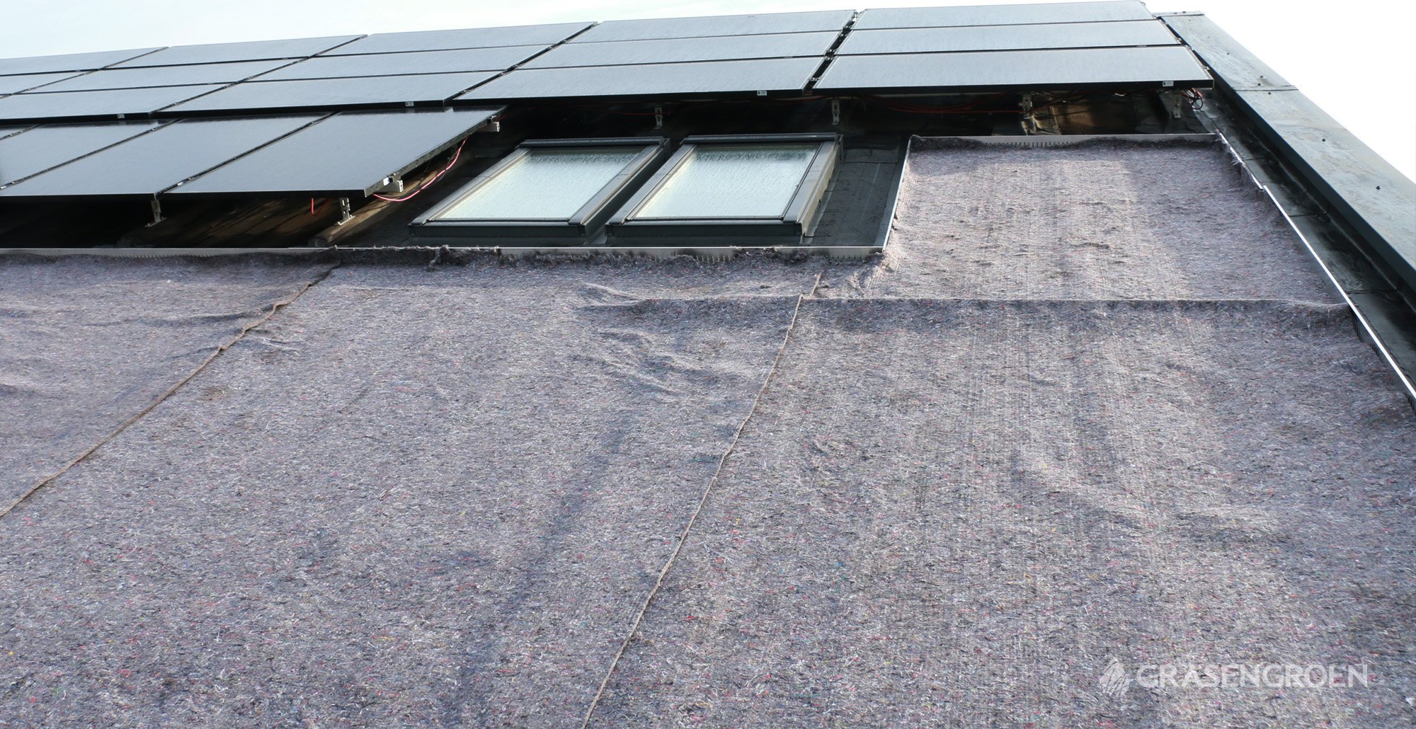 Groendakprojectalmere17 • Gras en Groen website