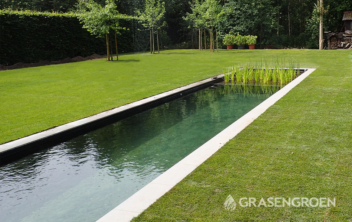 Inbouwzwembad4 • Gras en Groen website