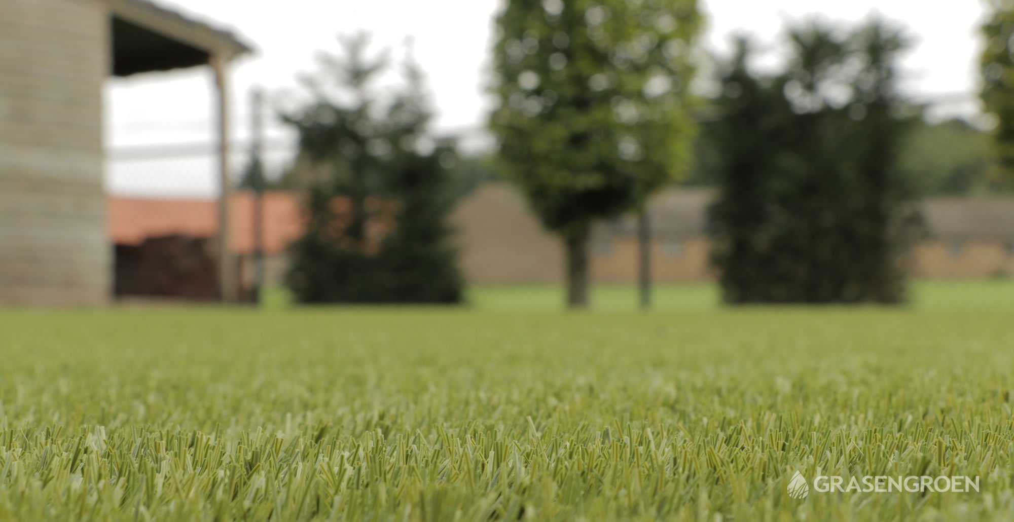 Kunstgrasleggenheeswijkdinther17 • Gras en Groen website
