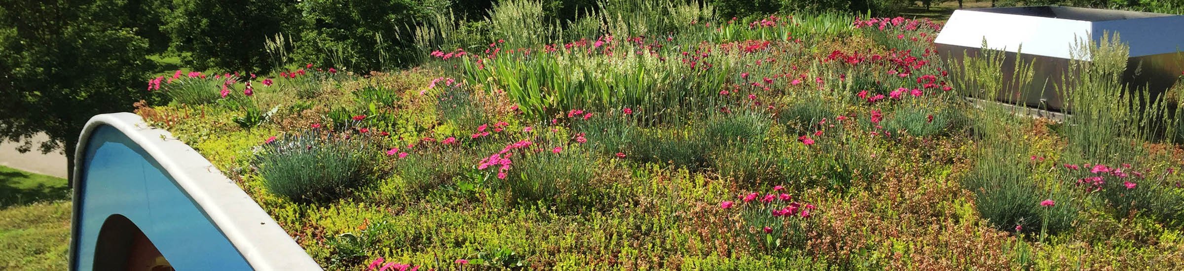 Vegetatiedak • Gras en Groen website