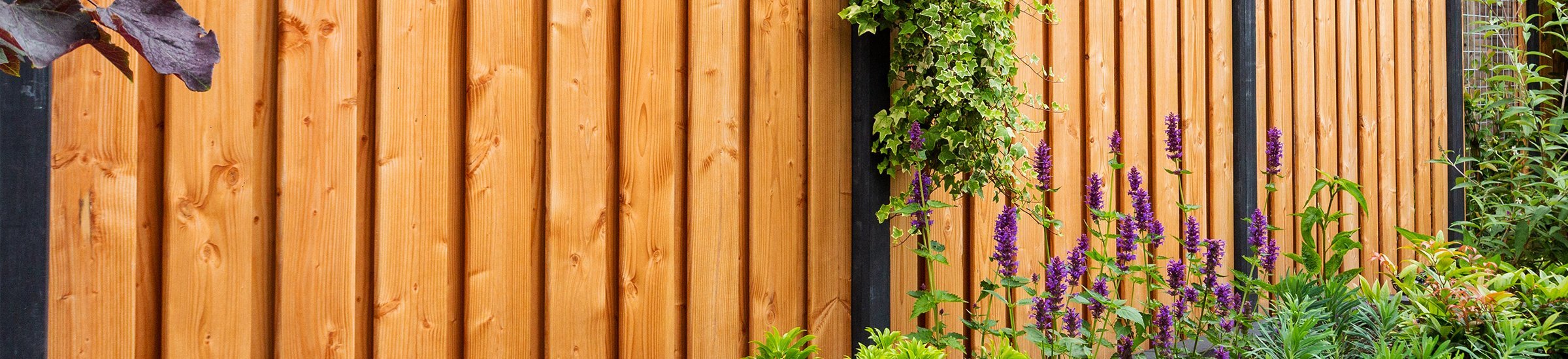 Douglashoutenschutting • Gras en Groen website