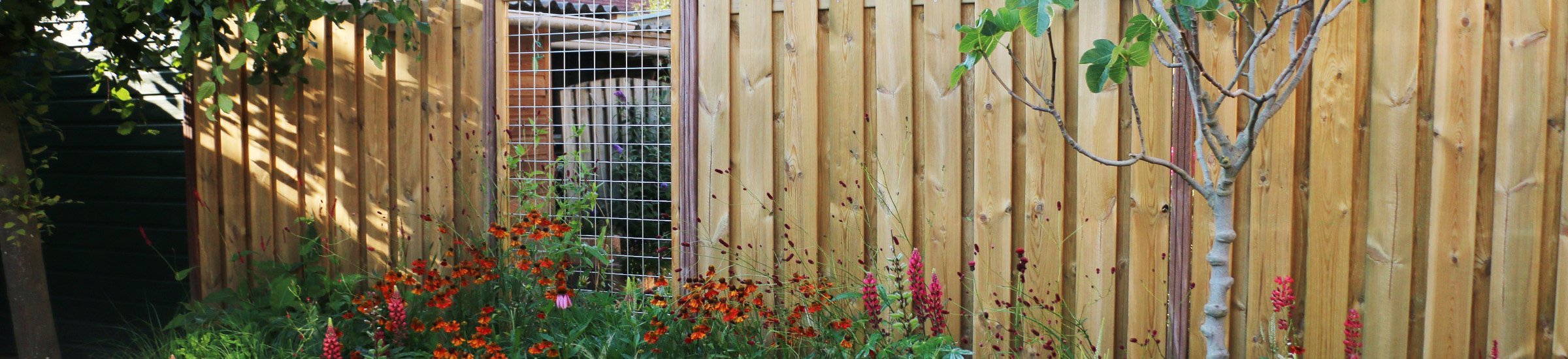 Houtenschutting • Gras en Groen website