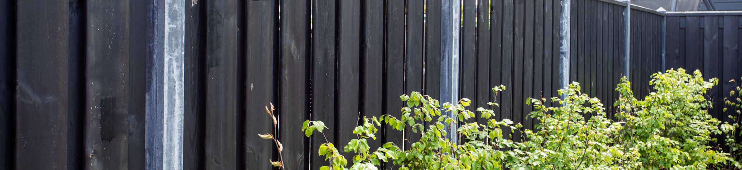 Zwarteschutting • Gras en Groen website