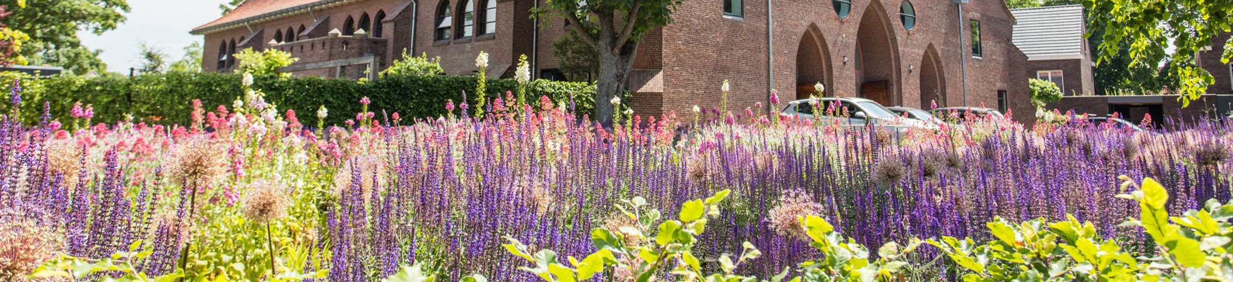 Beplanting • Gras en Groen website
