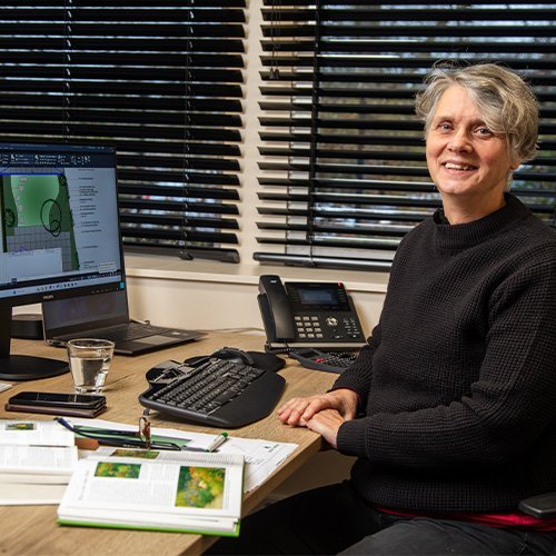 Beplantinganita • Gras en Groen website