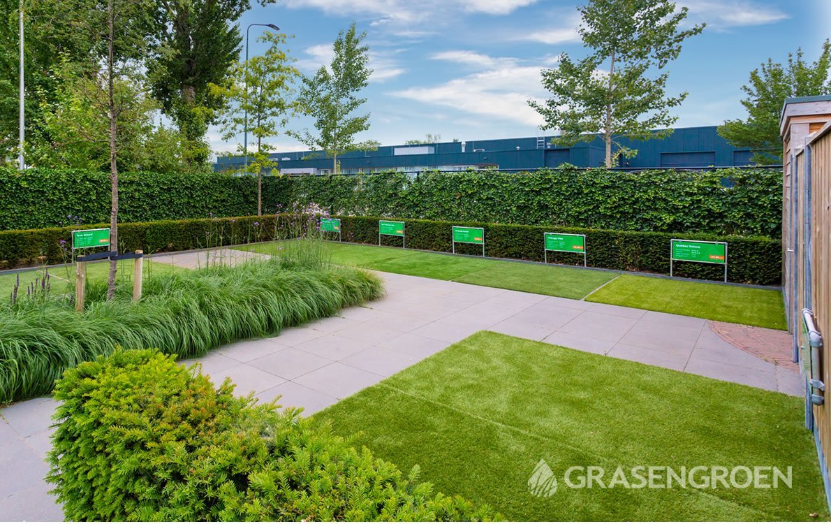 Kunstgrasshowtuindenbosch1 • Gras en Groen website