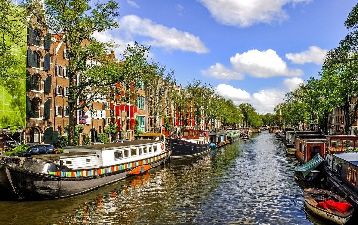 Schuttingplaatseninamsterdam1 • Gras en Groen website