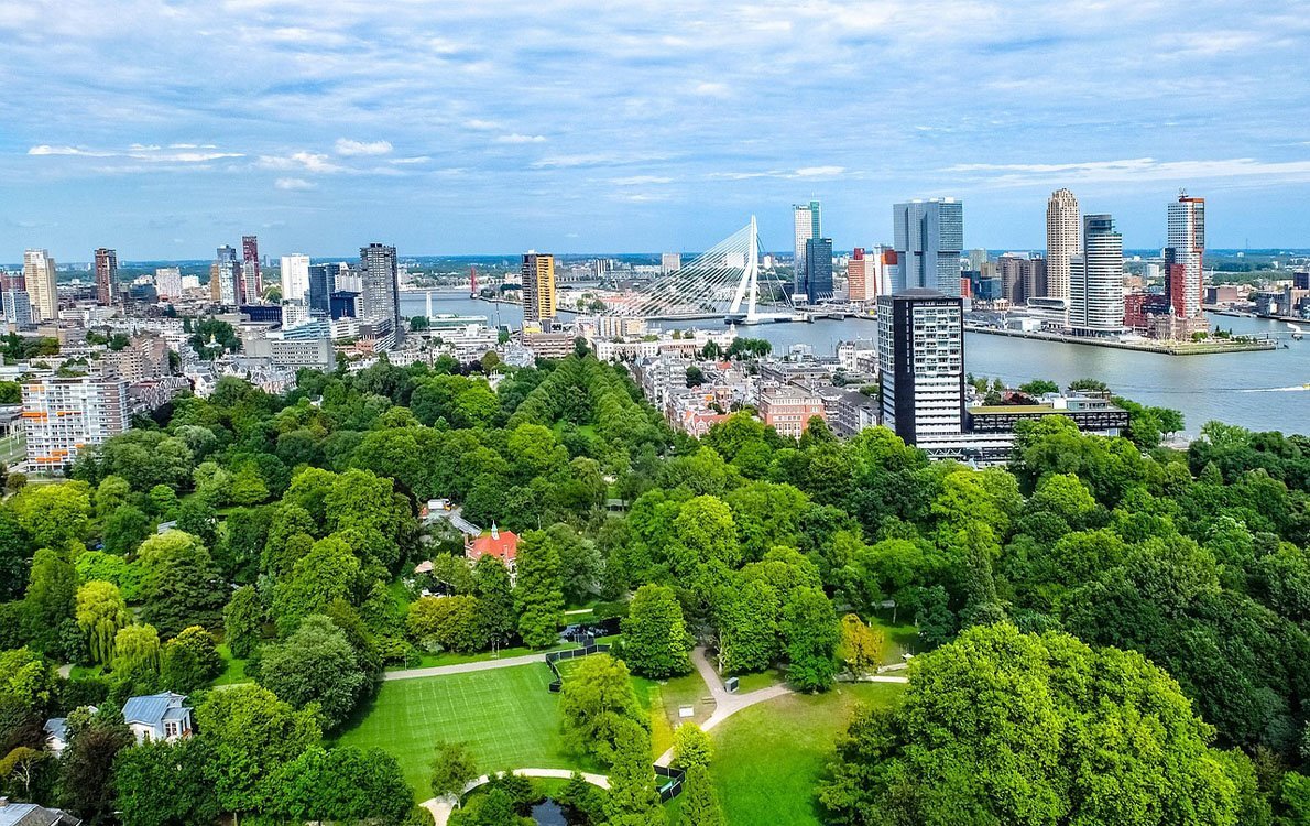 Schuttingplaatseninrotterdam1 • Gras en Groen website