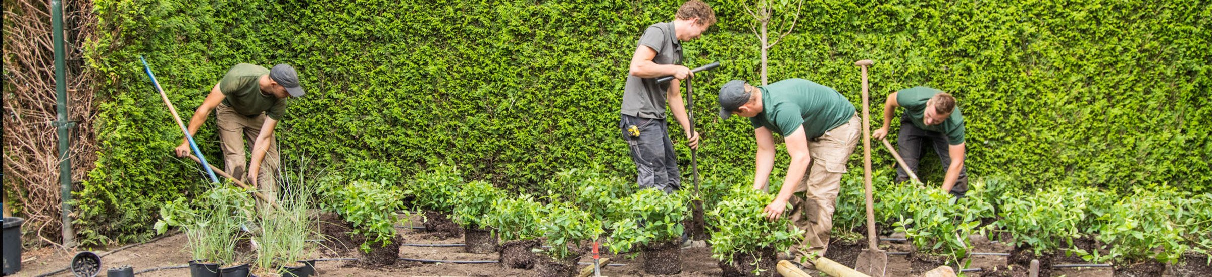 Werkenbijstage • Gras en Groen website
