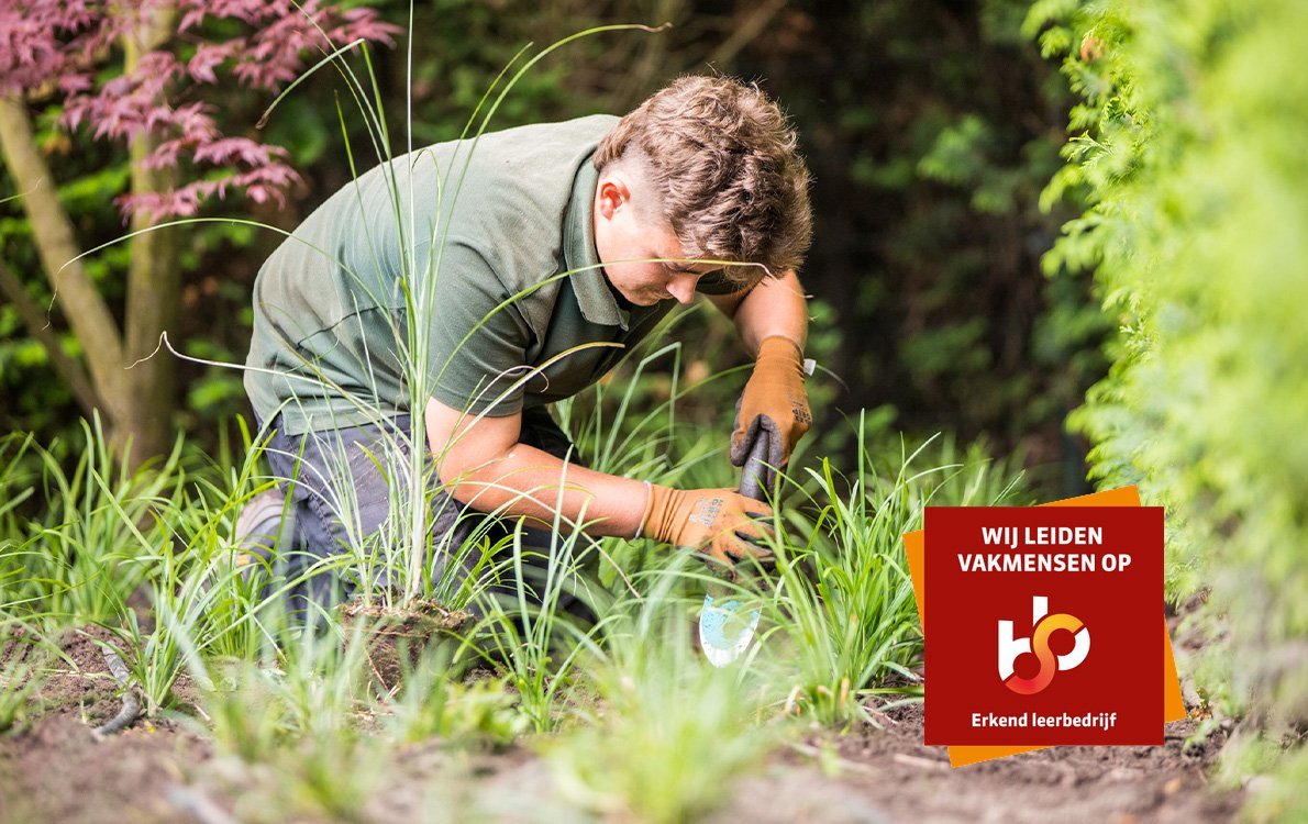 Werkenbijstage1 • Gras en Groen website