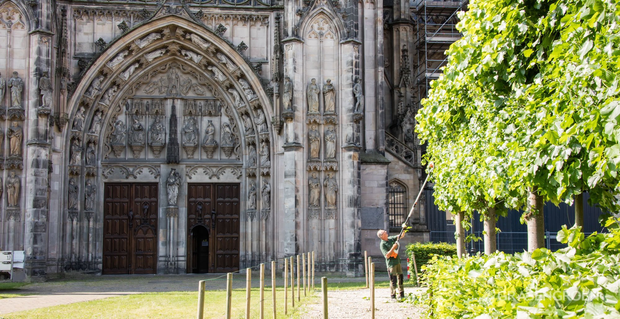 Tuinonderhoudsintjankathedraal'shertogenbosch14 • Gras en Groen website