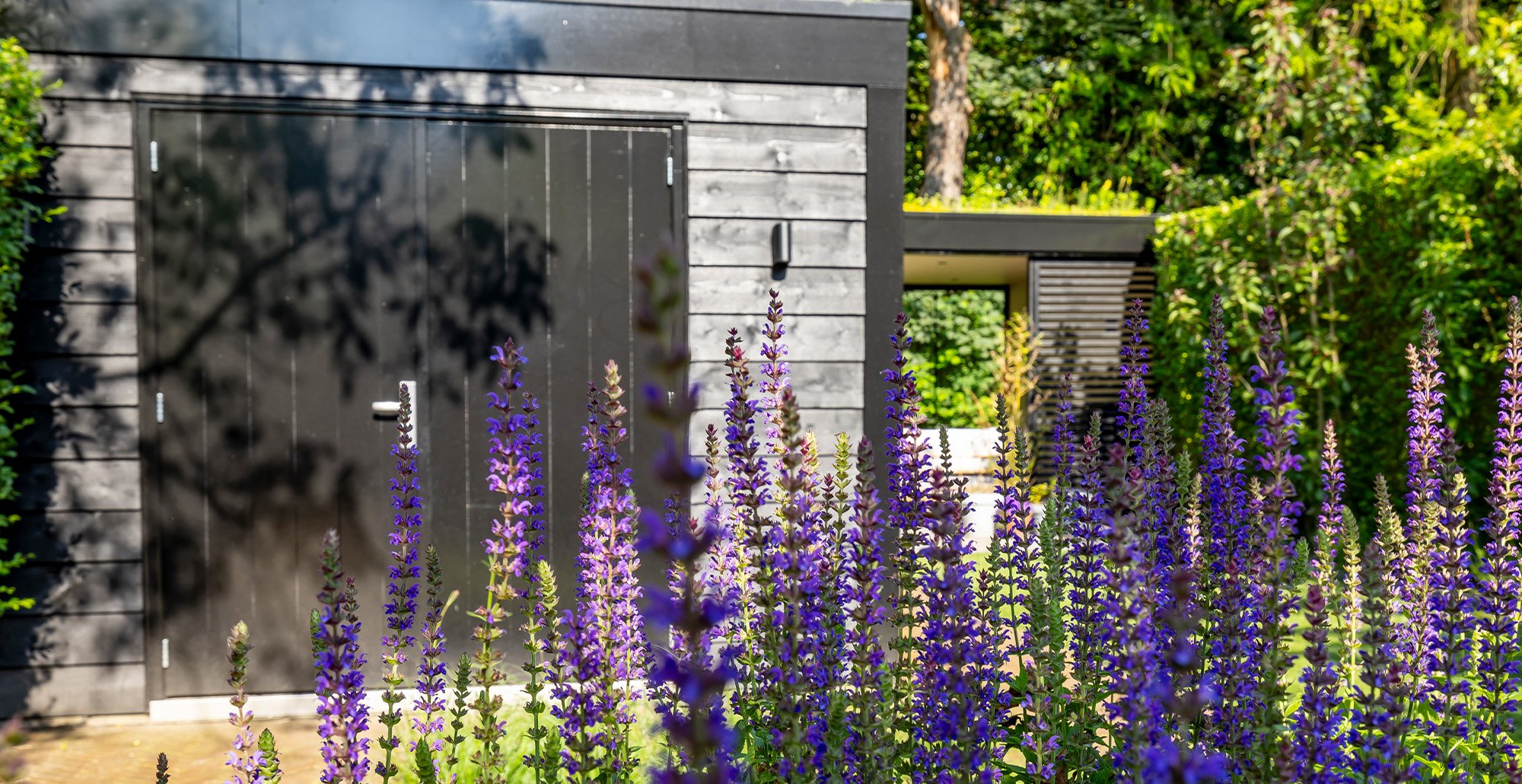 Tuinprojecteindhoven82 • Gras en Groen website