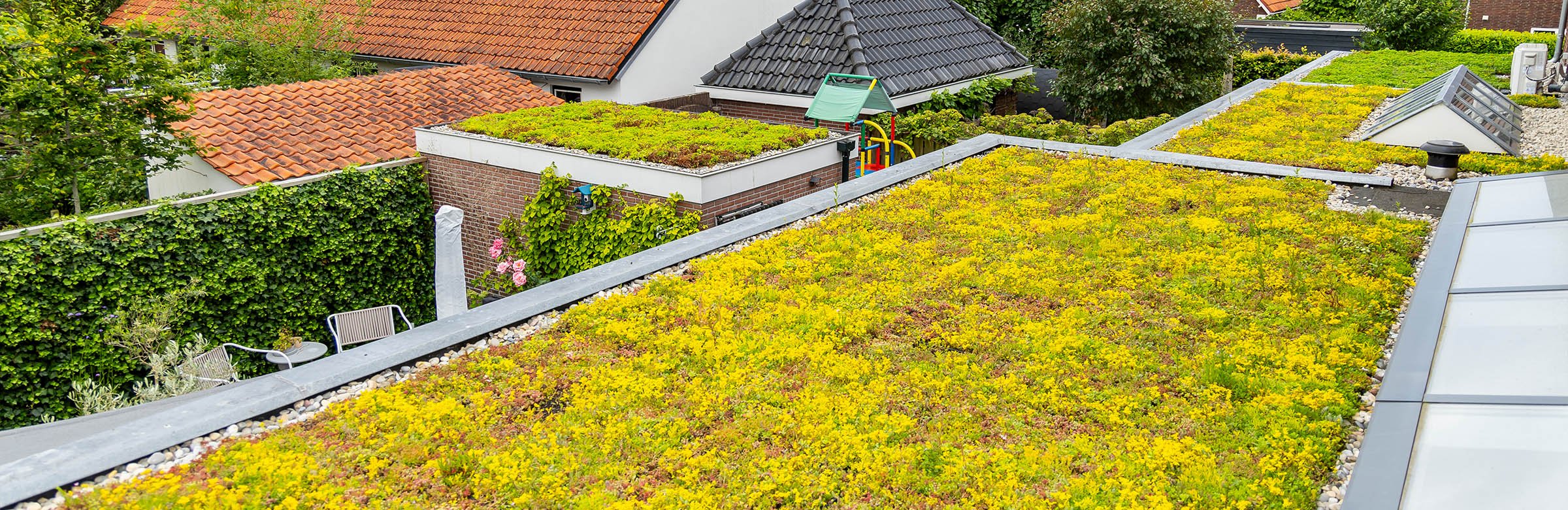 Sedumdakencollectiefantoonderkinderenlaan1 • Gras en Groen website