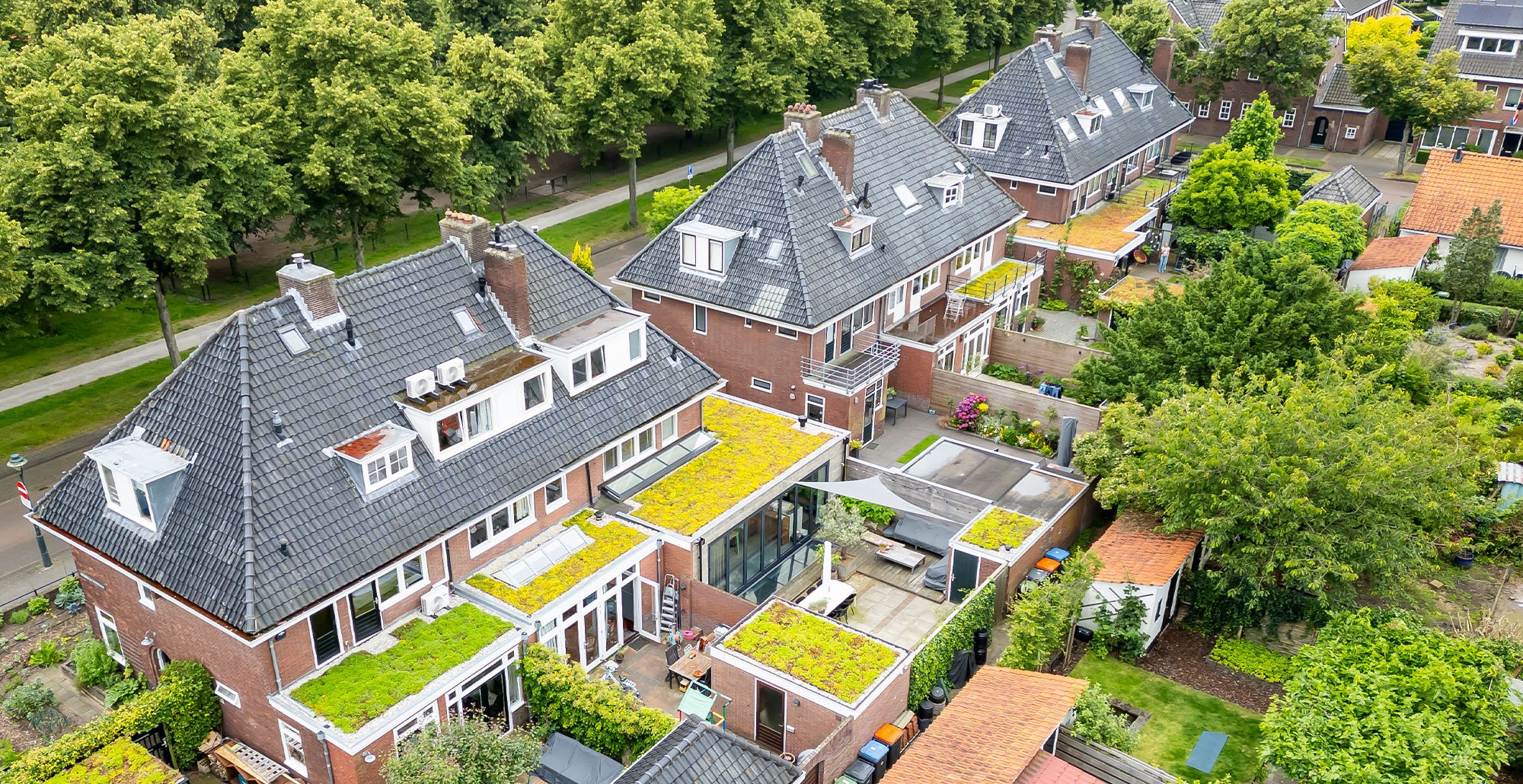Sedumdakencollectiefantoonderkinderenlaan1pre • Gras en Groen website
