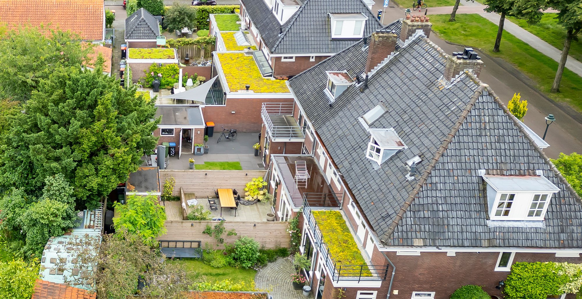 Sedumdakencollectiefantoonderkinderenlaan12 • Gras en Groen website