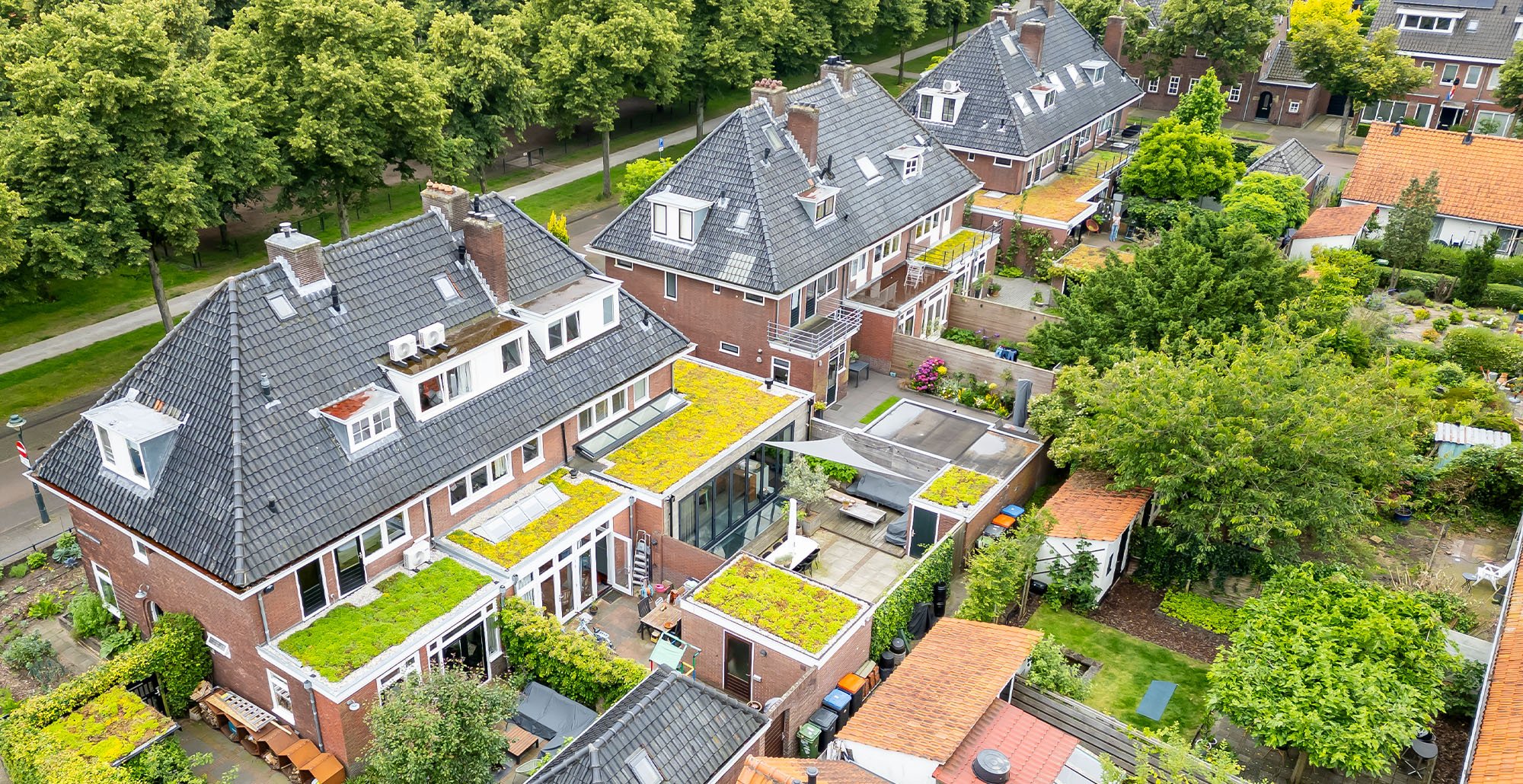 Sedumdakencollectiefantoonderkinderenlaan13 • Gras en Groen website