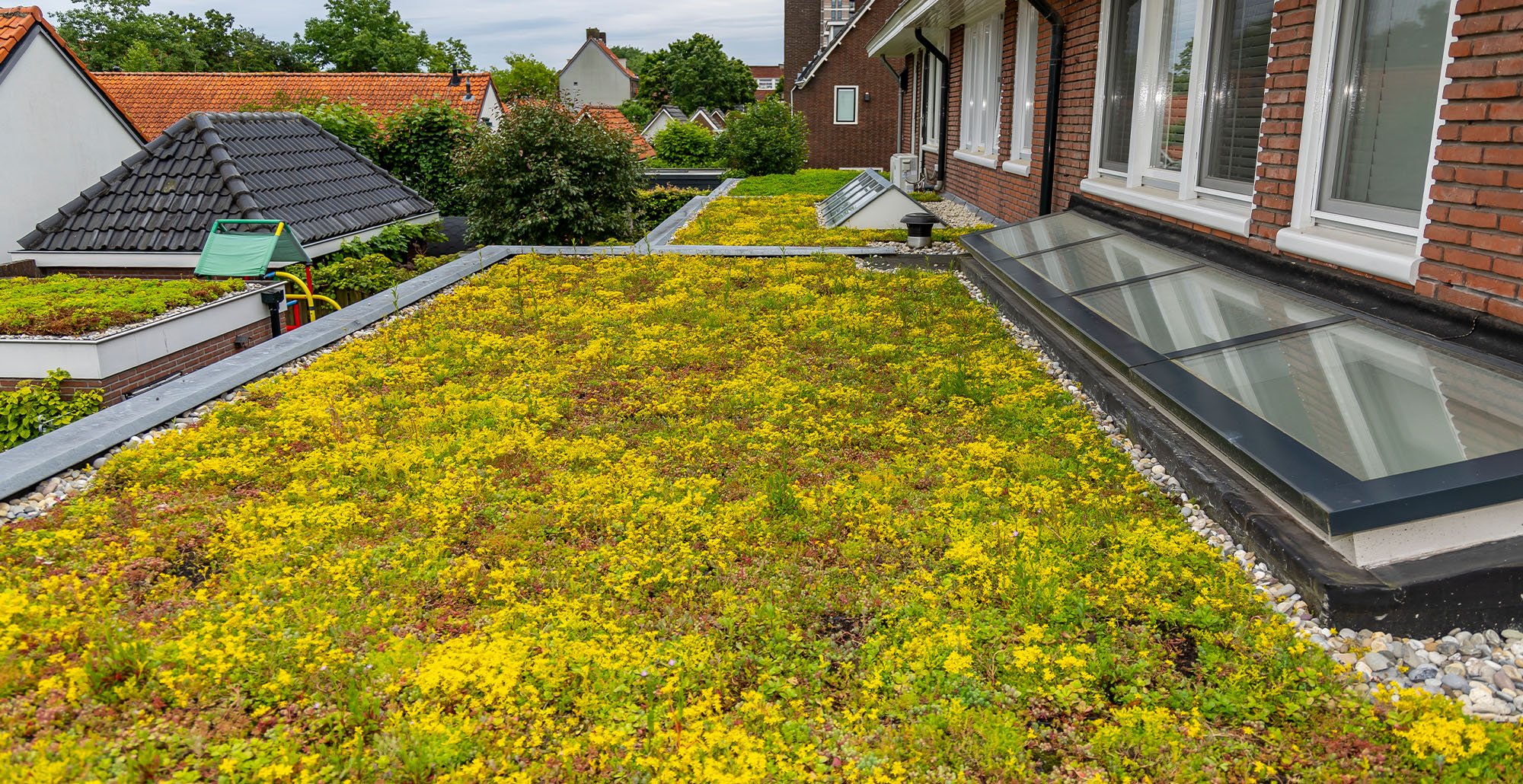 Sedumdakencollectiefantoonderkinderenlaan14 • Gras en Groen website