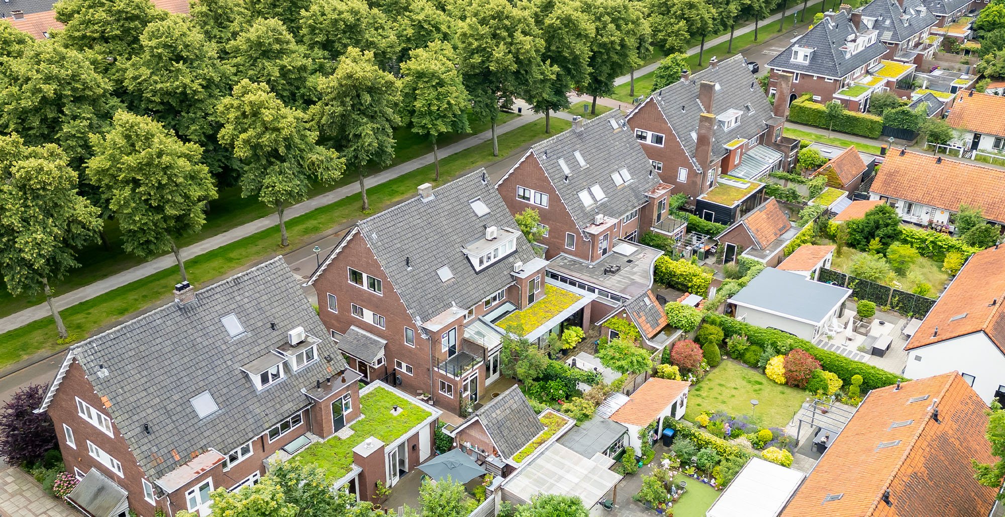Sedumdakencollectiefantoonderkinderenlaan18 • Gras en Groen website