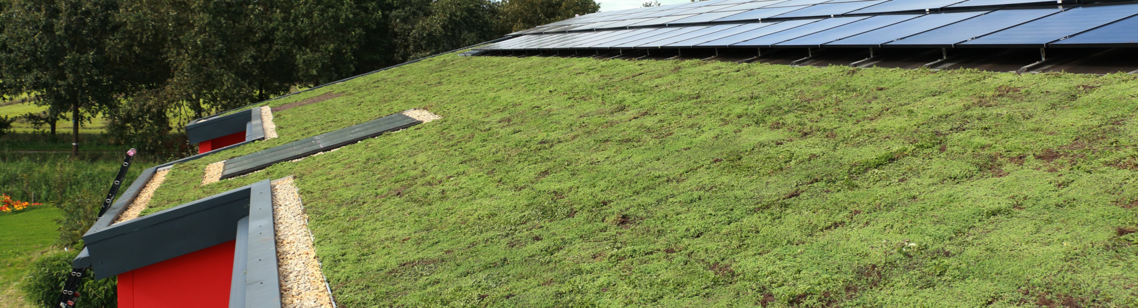 Groendakprojectalmere1 • Gras en Groen website