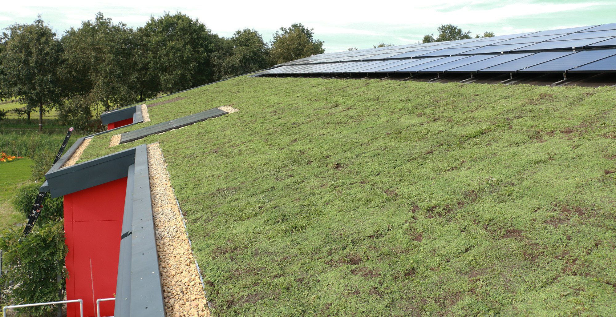Groendakprojectalmere1pre • Gras en Groen website