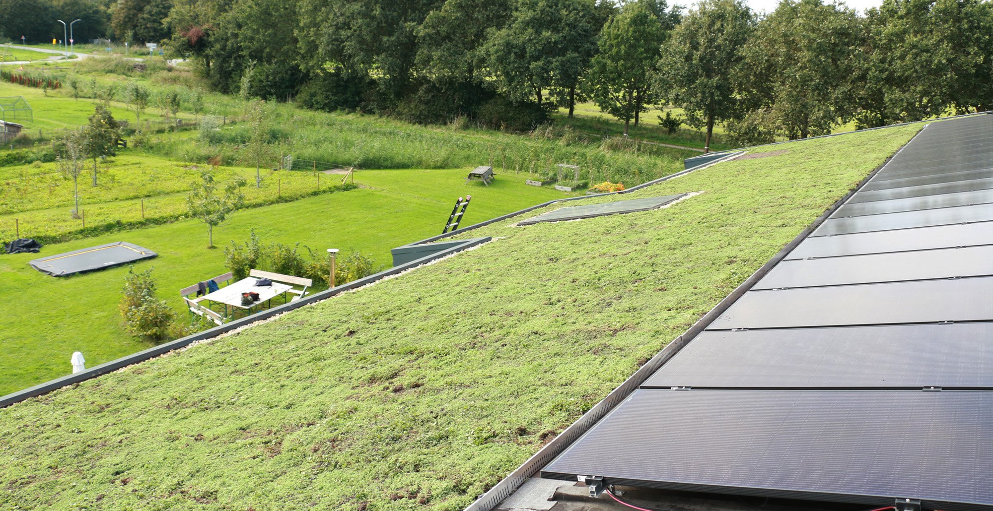 Groendakprojectalmere11 • Gras en Groen website