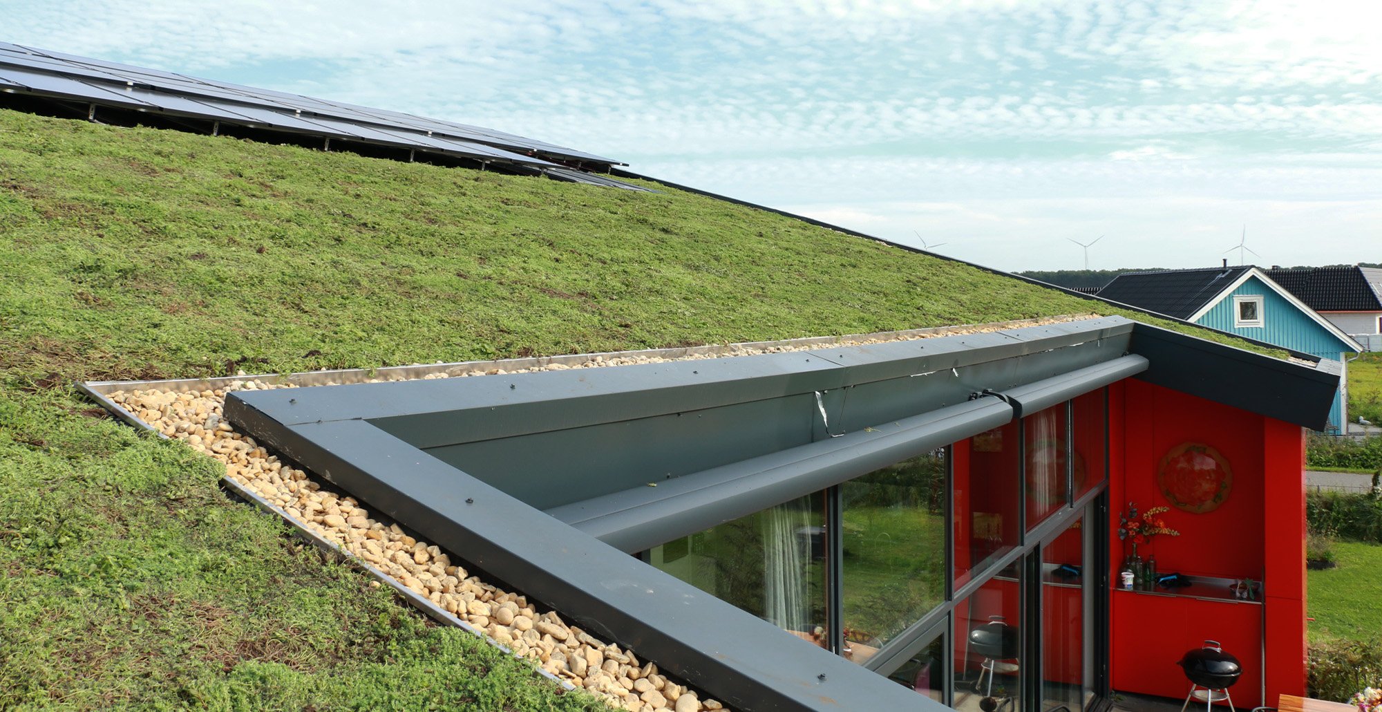 Groendakprojectalmere13 • Gras en Groen website