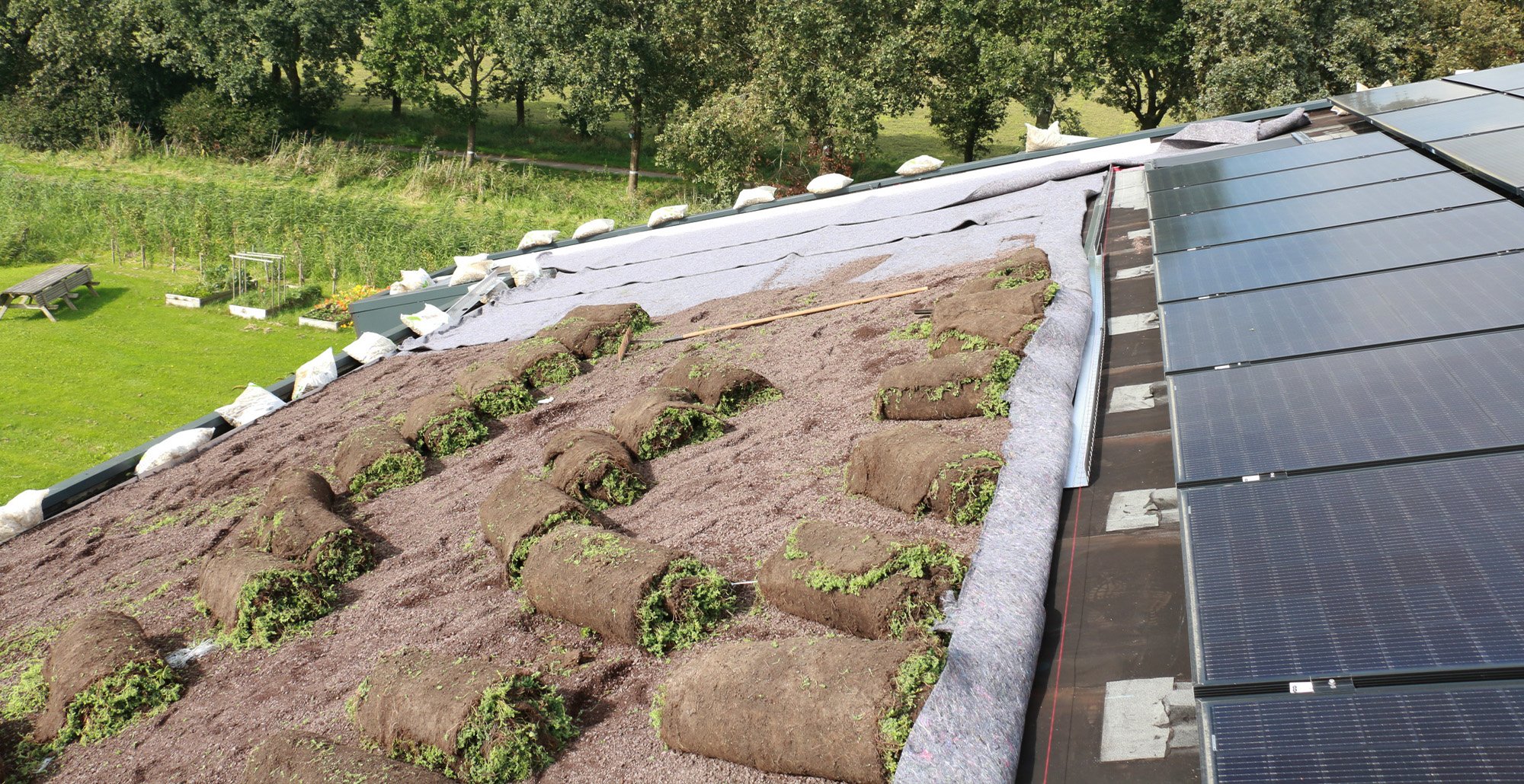 Groendakprojectalmere15 • Gras en Groen website