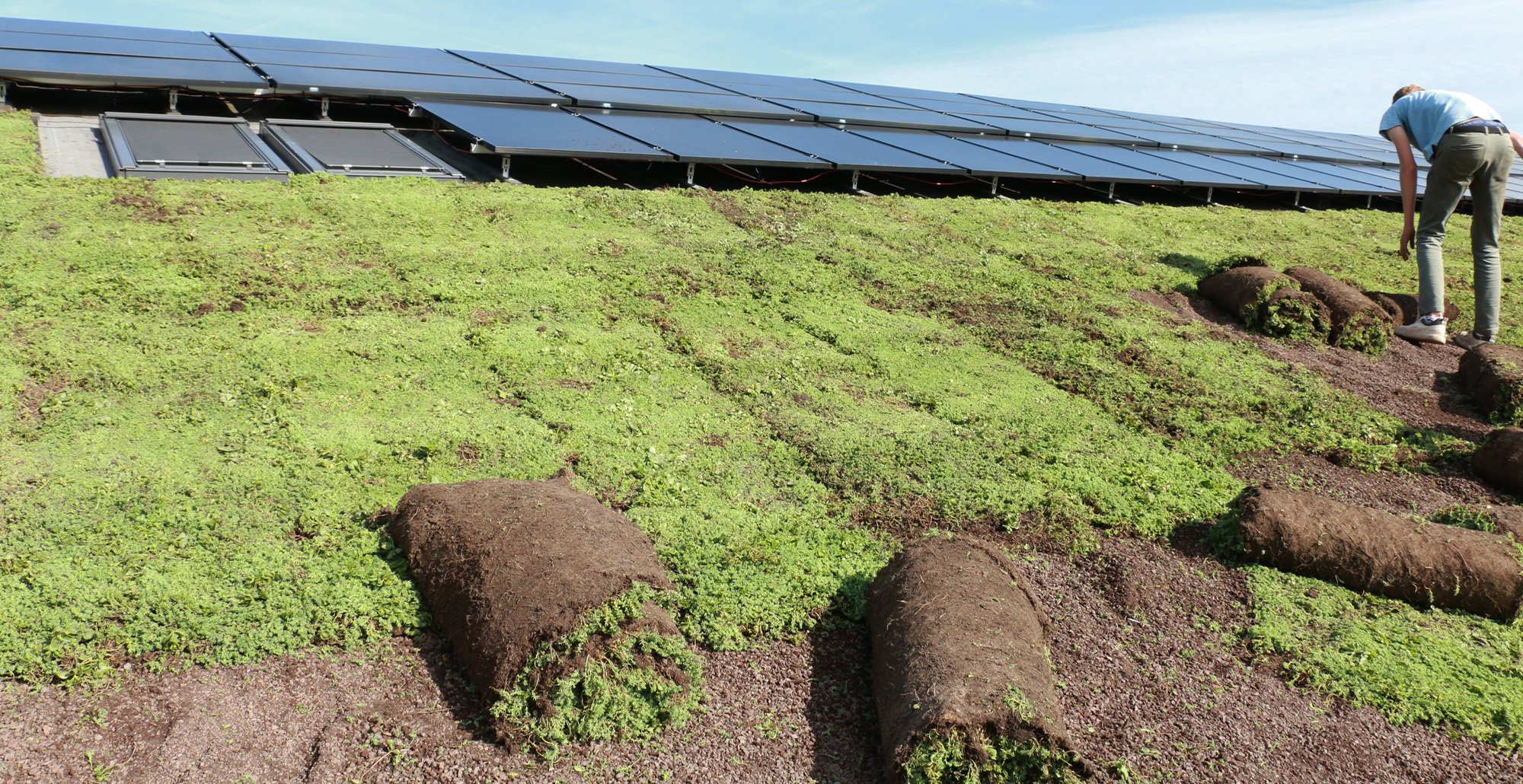 Groendakprojectalmere16 • Gras en Groen website