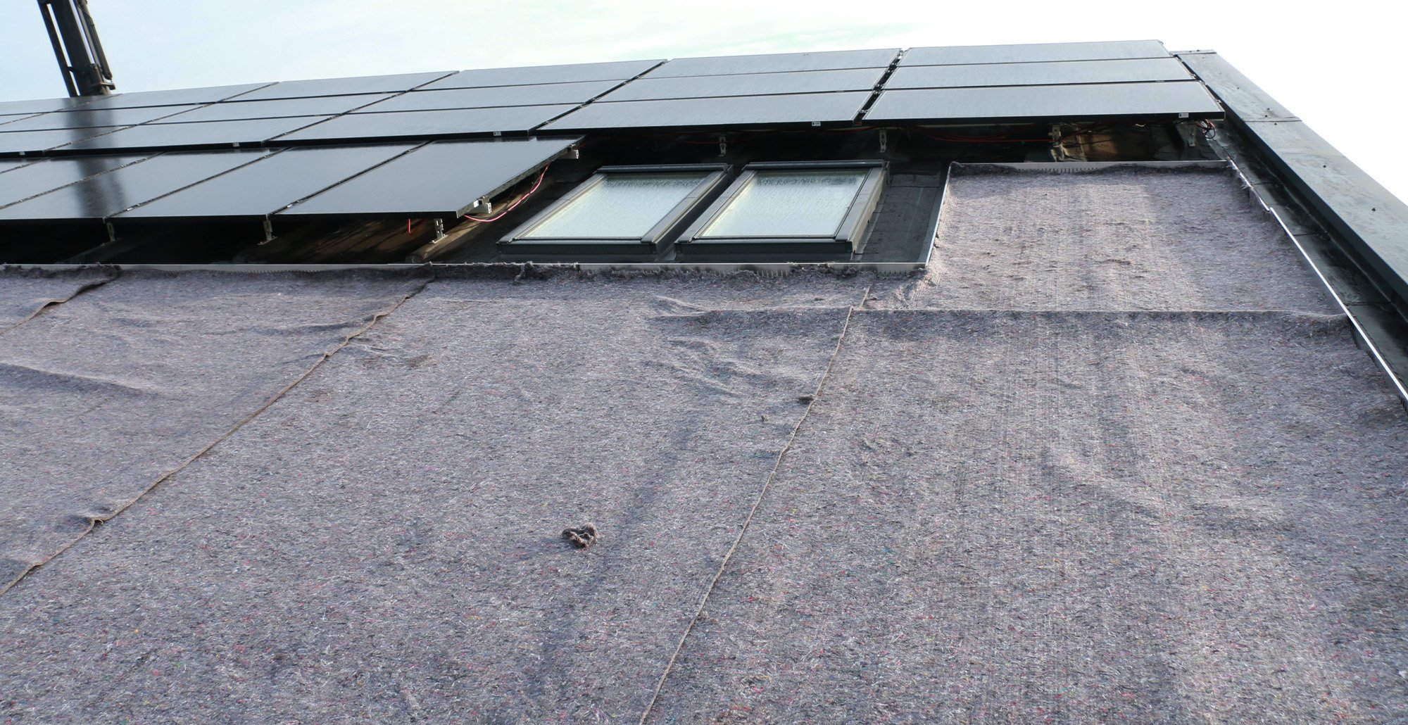 Groendakprojectalmere17 • Gras en Groen website