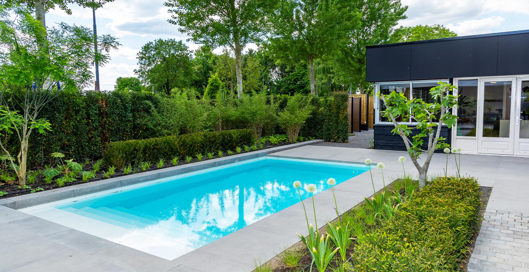Impressieshowtuin1 • Gras en Groen website