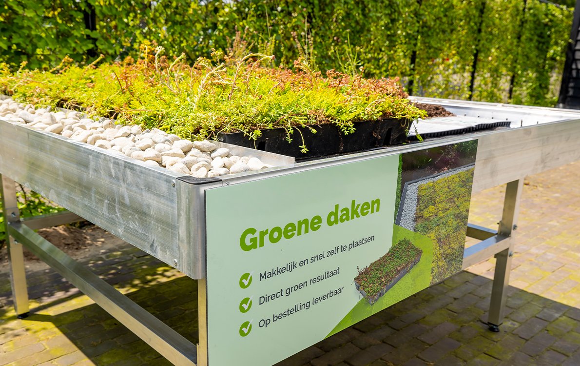Showtuin3 • Gras en Groen website
