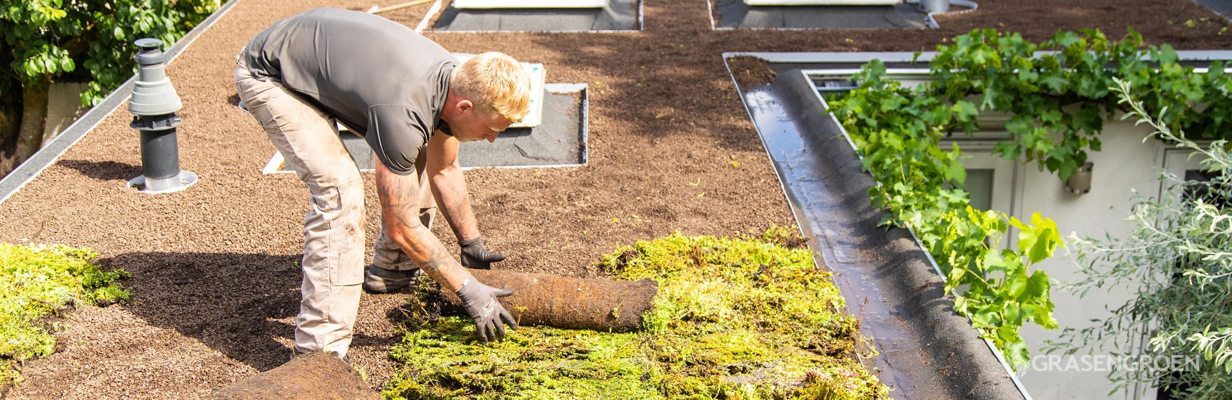 Collectiefgroendakdenboschorthenhero • Gras en Groen website